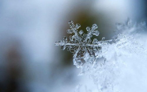 Chiusura per neve 23 gennaio