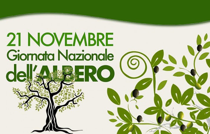 21 novembre : Giornata nazionale dell’albero