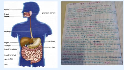 Diapositiva5